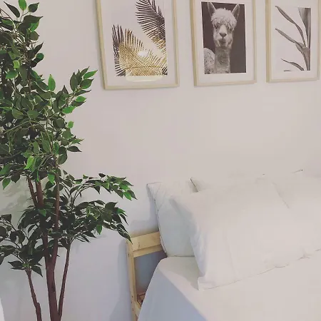 Apartament Marco Penismar